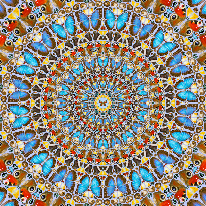 Dance of Butterflies