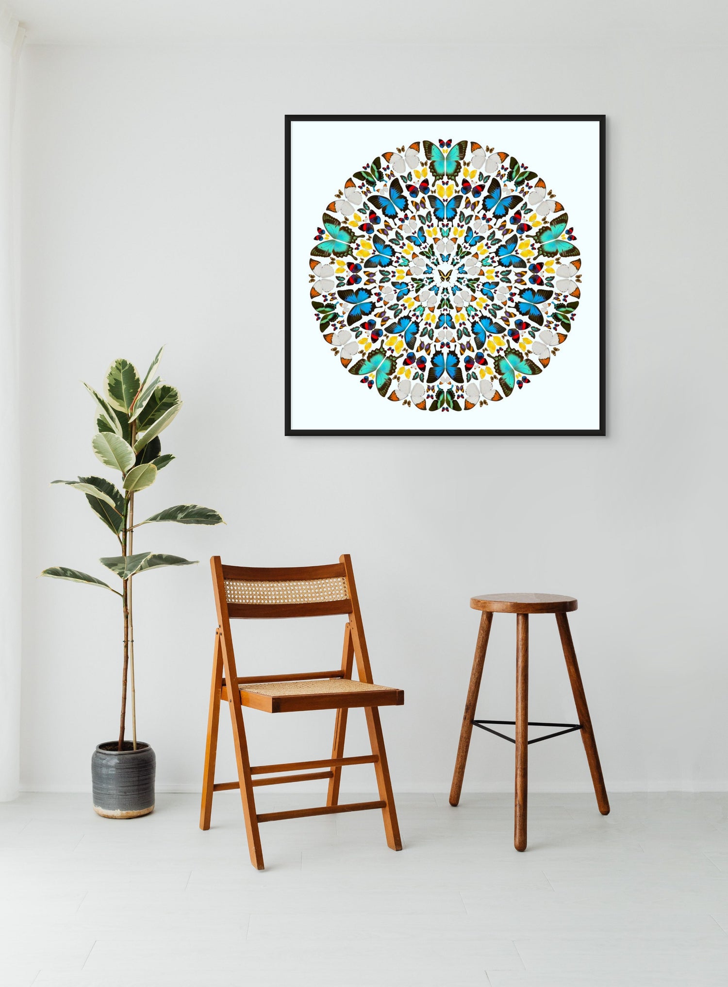 Butterflies Ensemble