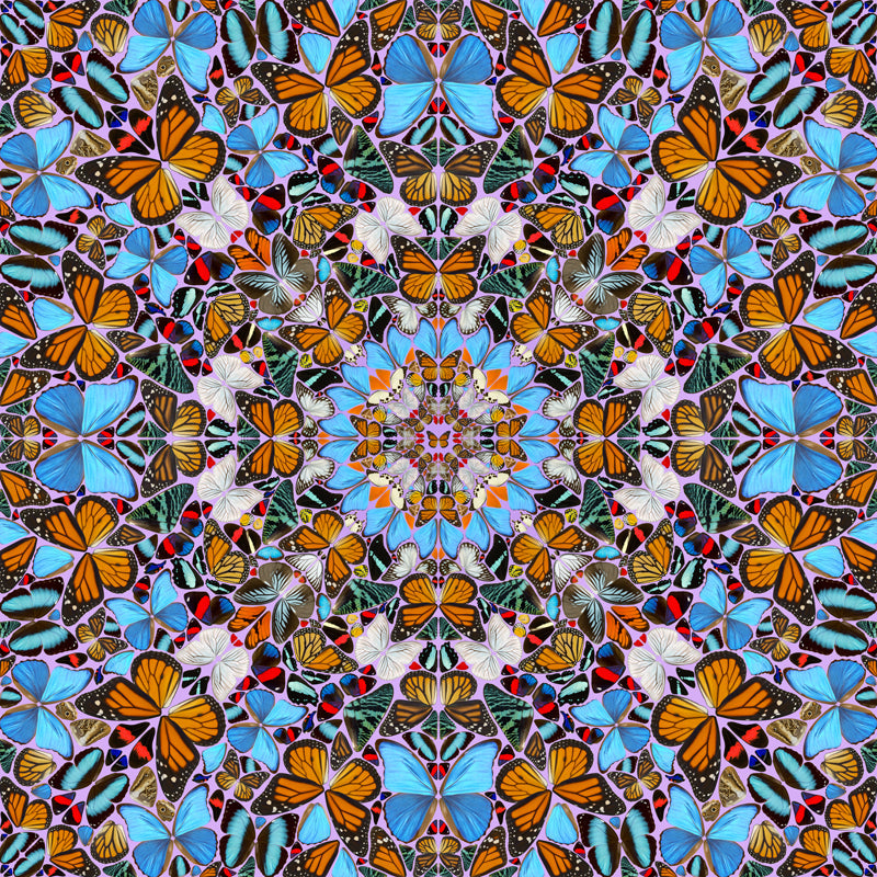 Butterfly: Kaleidoscopes