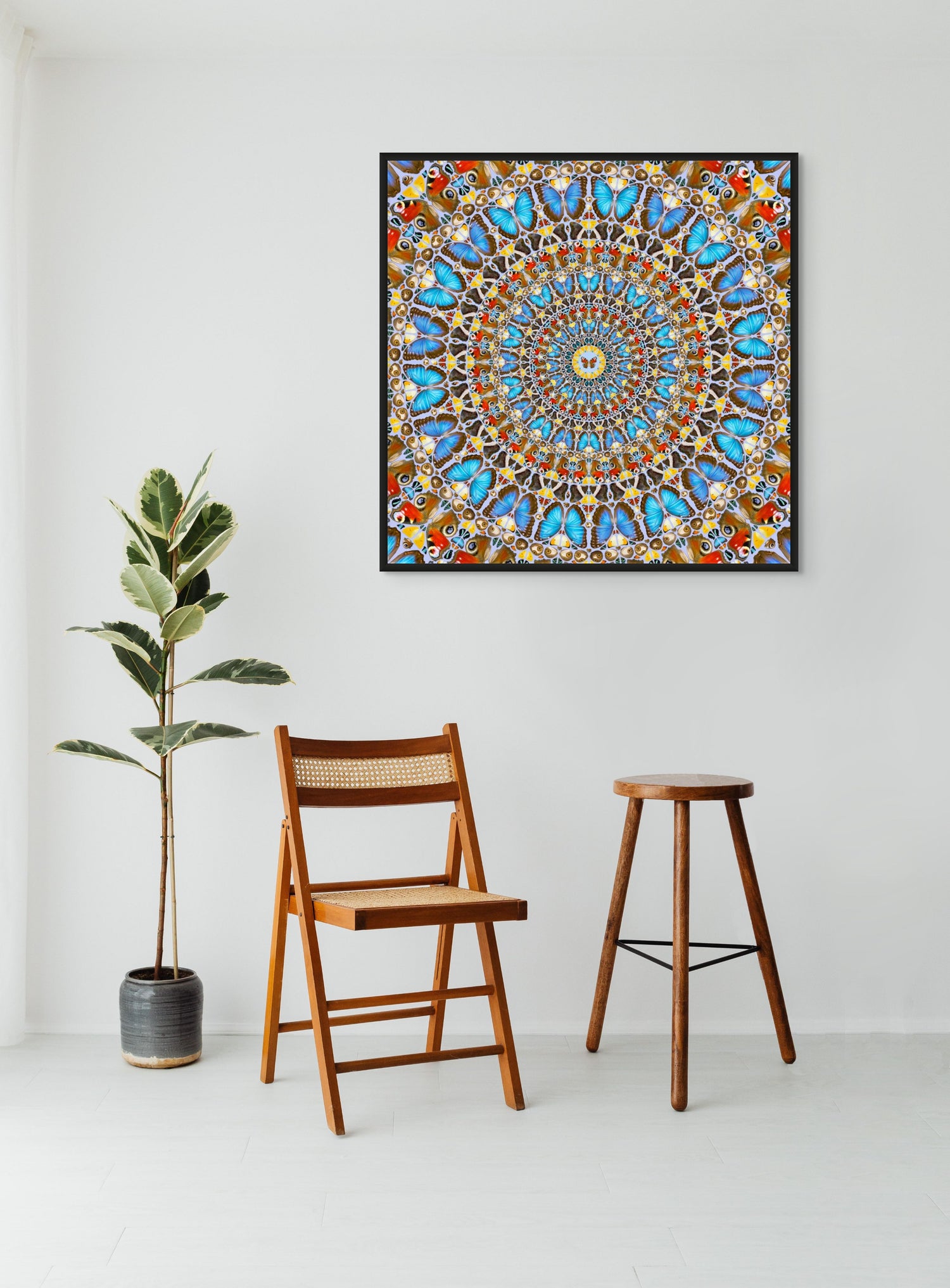 Dance of Butterflies