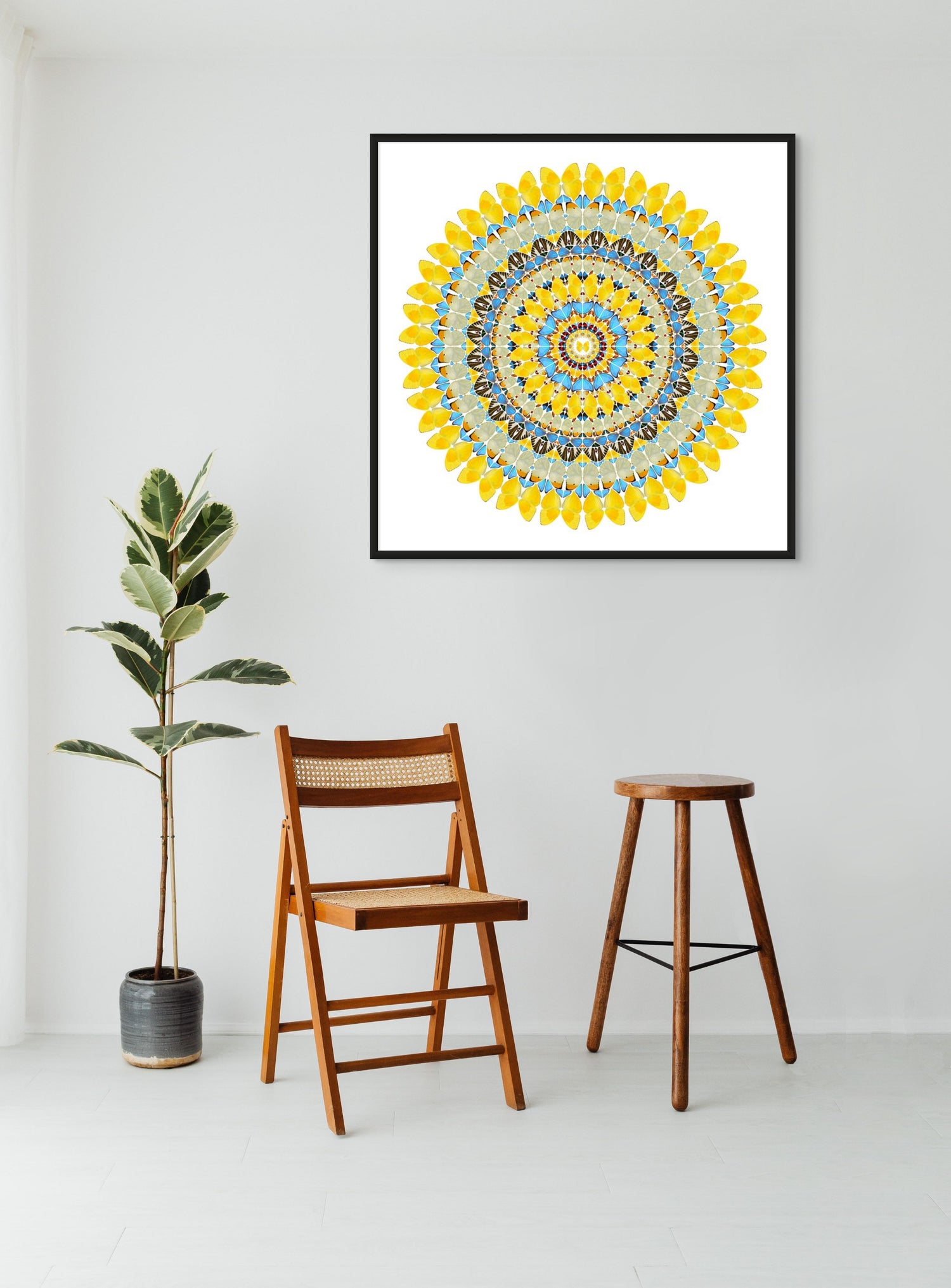 Yellow Butterfly Circle